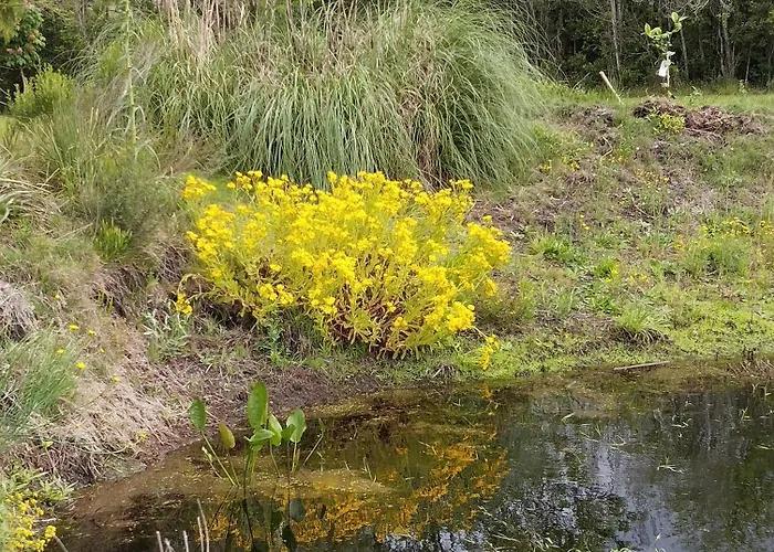 Pilmaiquen