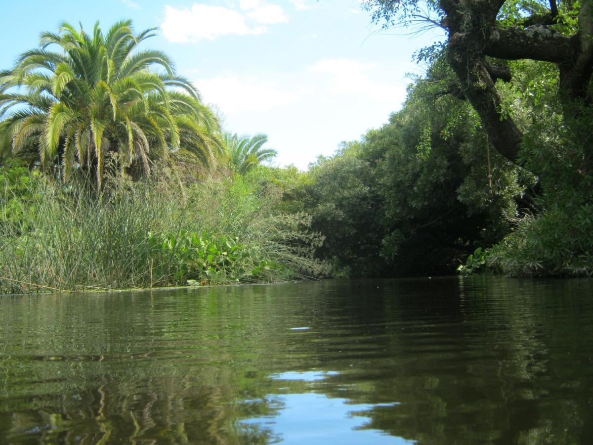 Pilmaiquen * Riachuelo