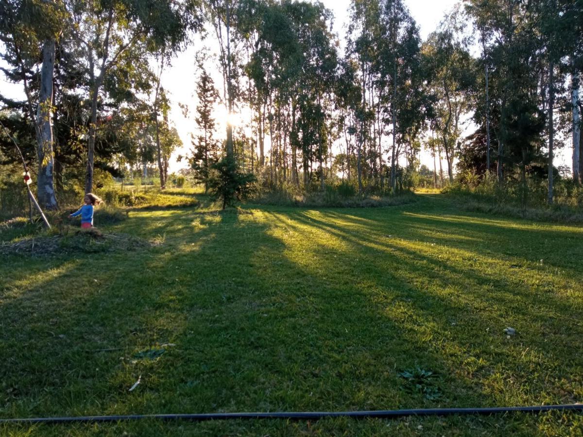 Holiday home Pilmaiquen Riachuelo