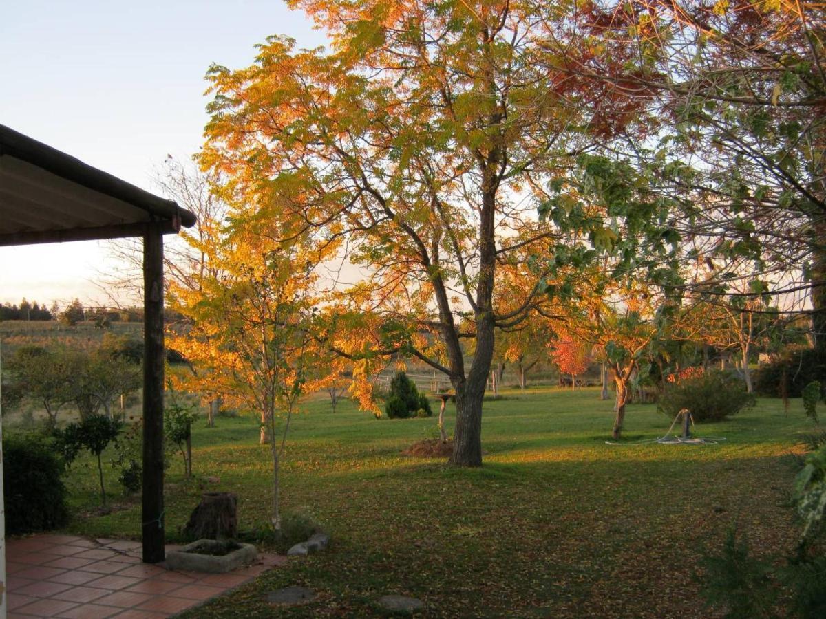 Pilmaiquen Holiday home