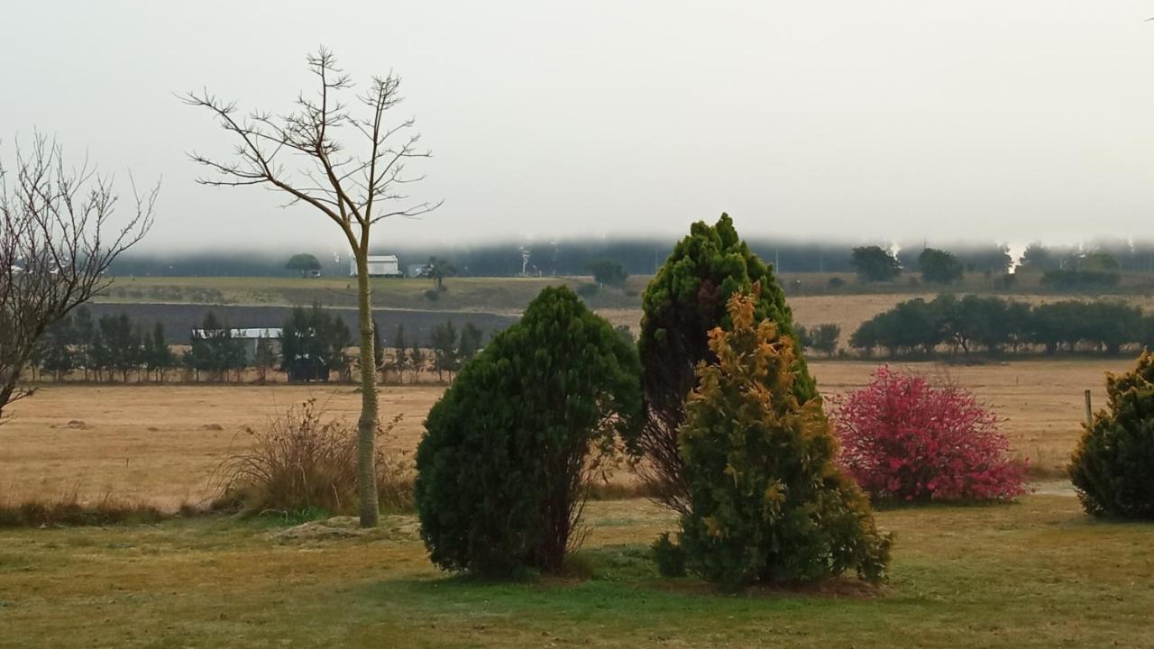 Holiday home Pilmaiquen Riachuelo